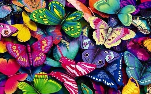 The Inspiration of Color